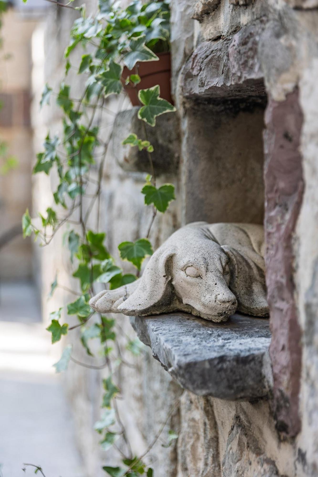 Verdi Kotor Exteriör bild